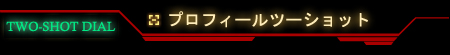 プロフィールツーショットとは